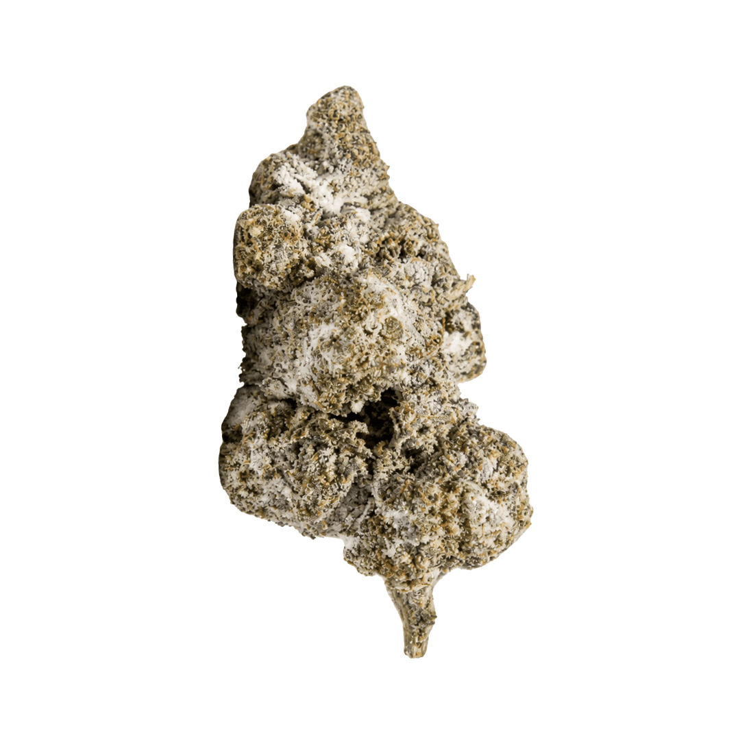 Polar Bear THCA Topskud | 25% THCA
