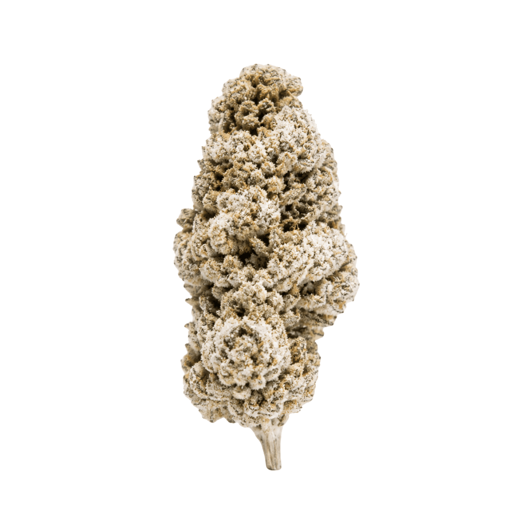 Skywalker THCA Topskud | 22% THCA