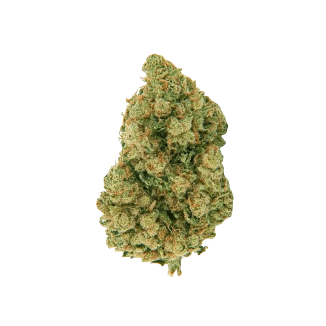 Biscotti CBD Topskud | 15% CBD