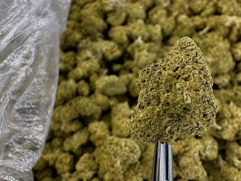 CBD buds and flowers under 0,2% thc