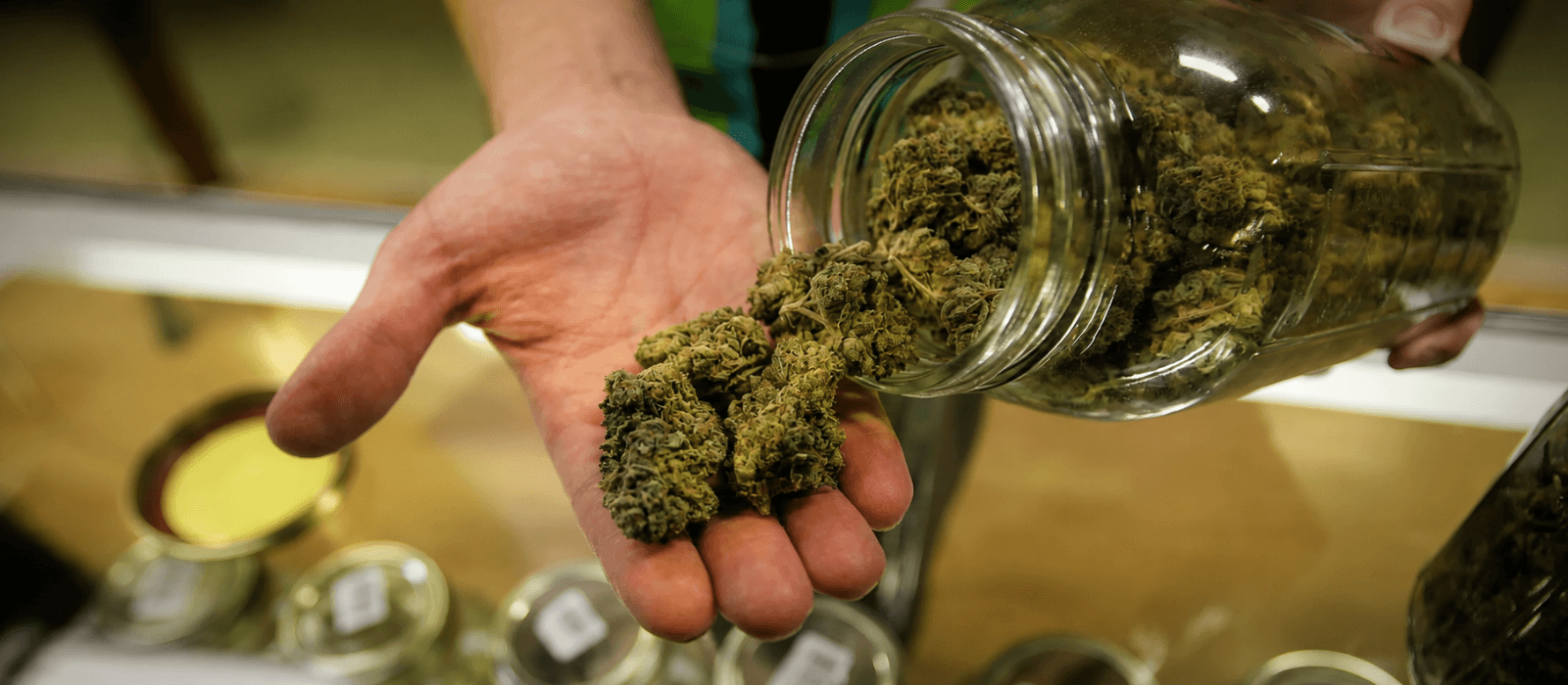 Lovlig Cannabis i Danmark