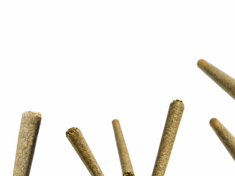 Buy pre rolled thca joint pre roll