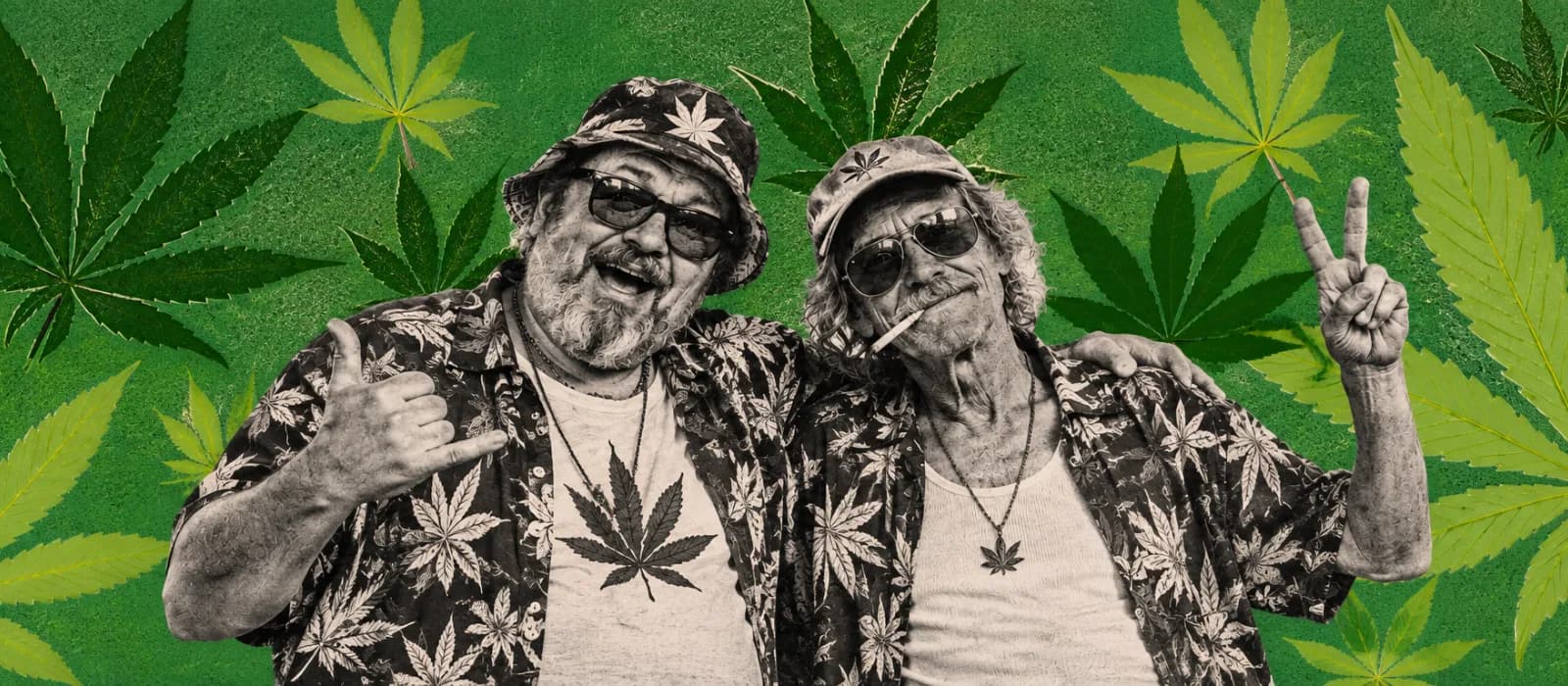 What is hemp?